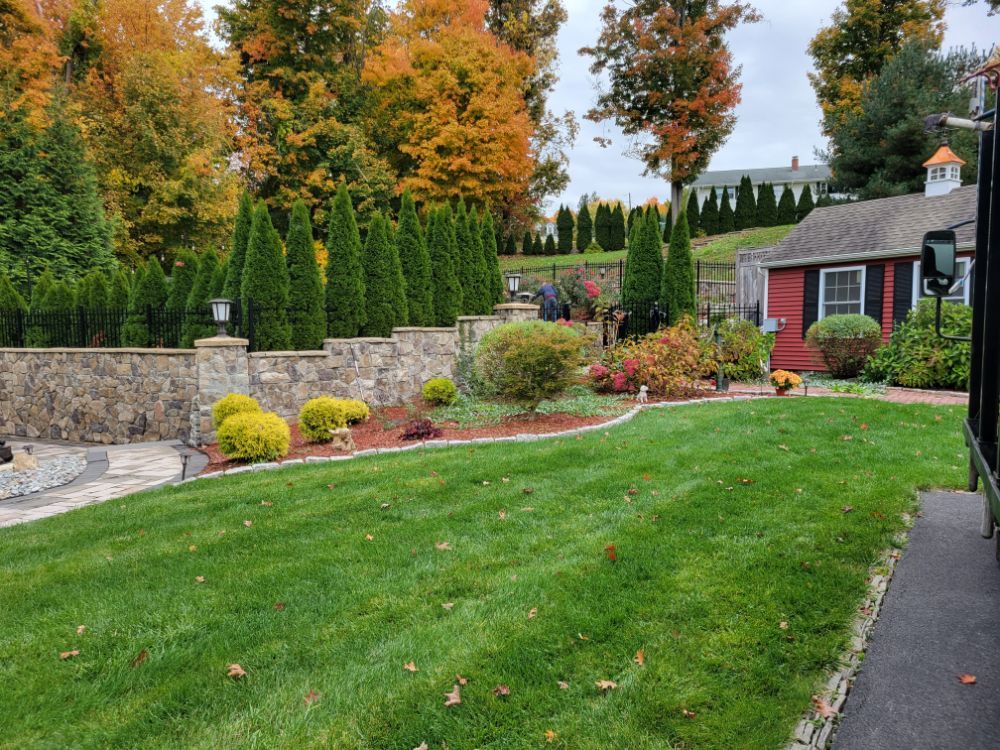 I will design and install beautiful landscaping - Image 1