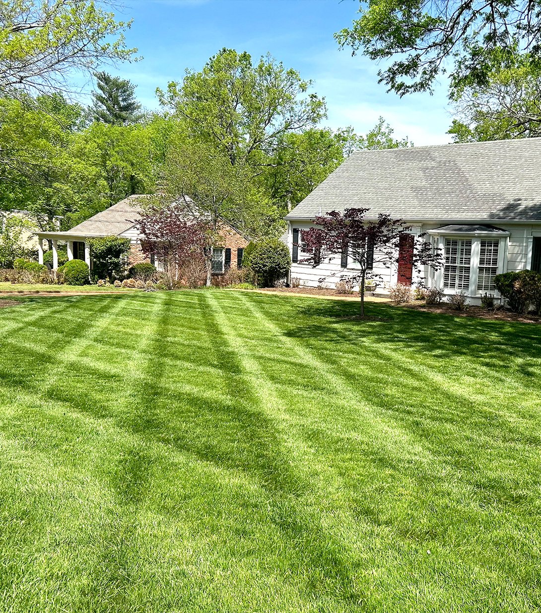 I will provide complete lawn care service - Image 1